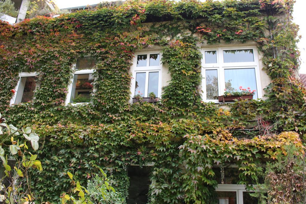Hotel Wiener Kindl Exterior foto